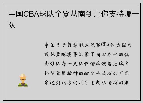 中国CBA球队全览从南到北你支持哪一队